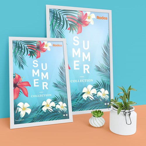 Ljetna kolekcija 2019